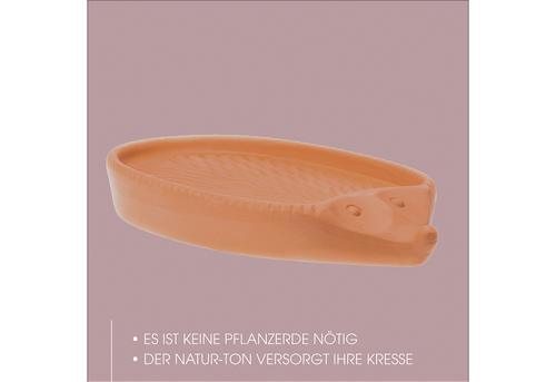 Kresse-Igel