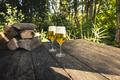 Craft Beer Kelch 203/1