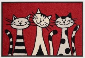 wash+dry by Kleen-Tex Fußmatte »Three Cats«, wash+dry by Kleen-Tex, rechteckig, Höhe 9 mm, In- und Outdoor geeignet