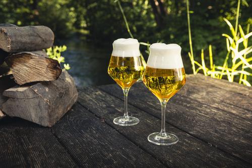 Craft Beer Kelch 203/1