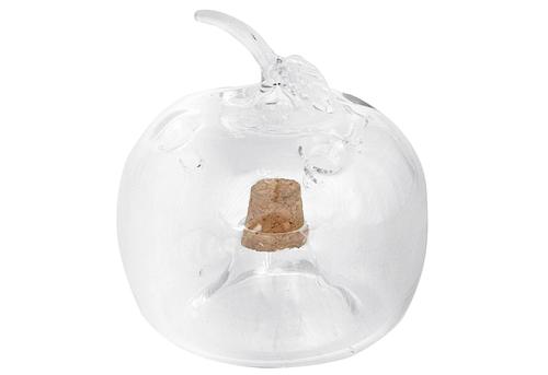 Fruchtfliegenfalle Apfel