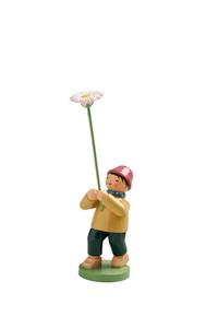 Junge mit Gänseblümchen