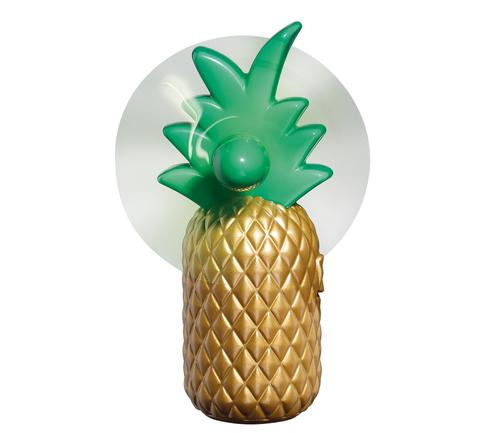 Mini-Ventilator ANANAS