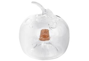 Fruchtfliegenfalle Apfel