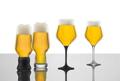 Craft Beer Kelch 203/1