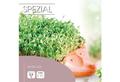 Kresse-Igel