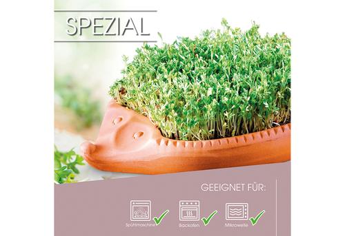 Kresse-Igel